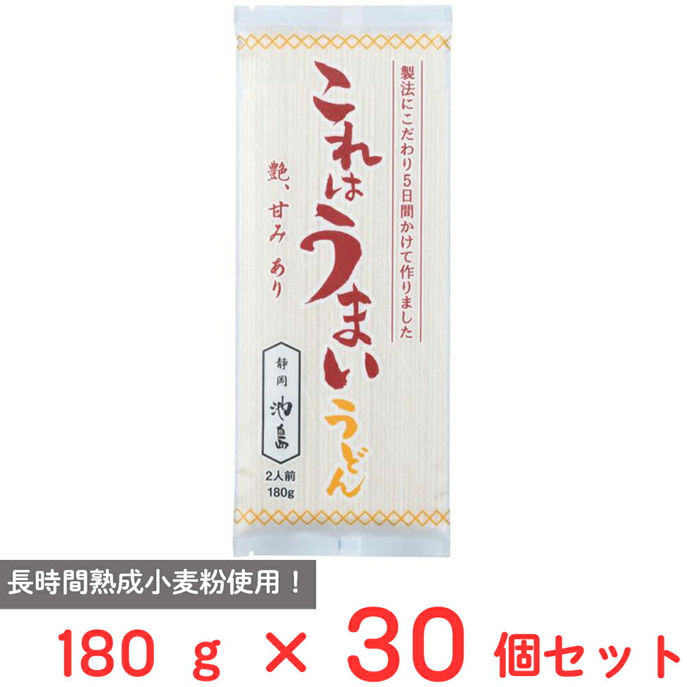 池島フーズ これはうまいうどん 180g×30個