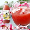 マルカイコーポレーション 順造選 グァバ 1000ml×6本 こだわり コダワリ ジュース じゅーす 果汁 かじゅう カジュウ 果肉 かにく カニク フルーツ ふるーつ 濃厚 のうこう ノウコウ 割り材 割材 わりざい