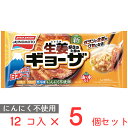 冷凍食品 味の素冷凍食品 しょうがギョーザ 276g×5個 餃子 冷凍惣菜 惣菜 ギョーザ ぎょうざ 中華 点心 おかず お弁当 おつまみ 軽食 冷凍 冷食 時短 手軽 簡単 美味しい