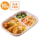 冷凍食品 日東ベスト ホスピタグルメセットN チキンの照焼き風 165g×10個 冷凍