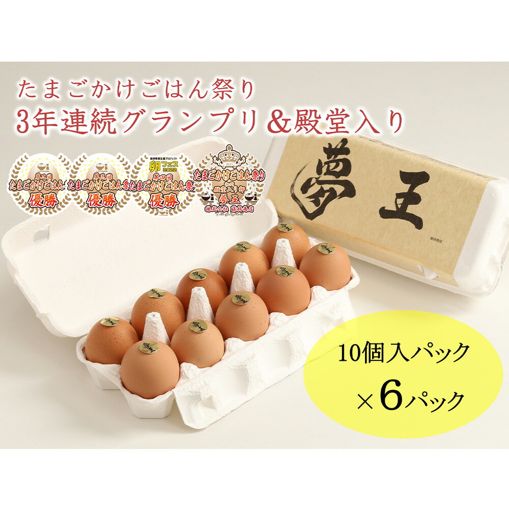 藤橋商店 夢王 10個入り×6パック 1セット