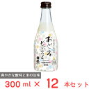 [冷蔵] チル酒 中埜酒造 國盛　おどるどぶろく 300ml×12本