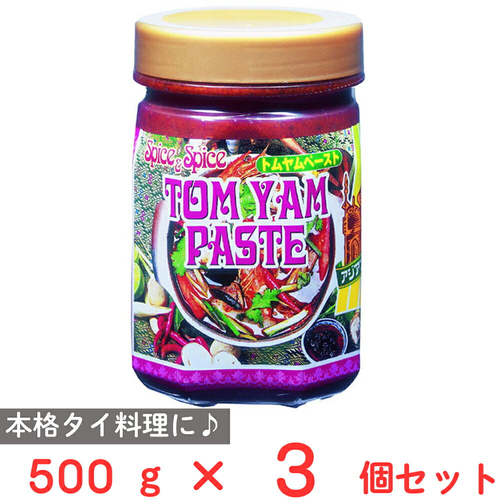 テーオー食品 トムヤムペースト 500g×3個