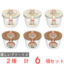 冷蔵 オハヨー ジャージー牛乳プリン 2種セット （プレーン カフェラテ） 各3個計6個