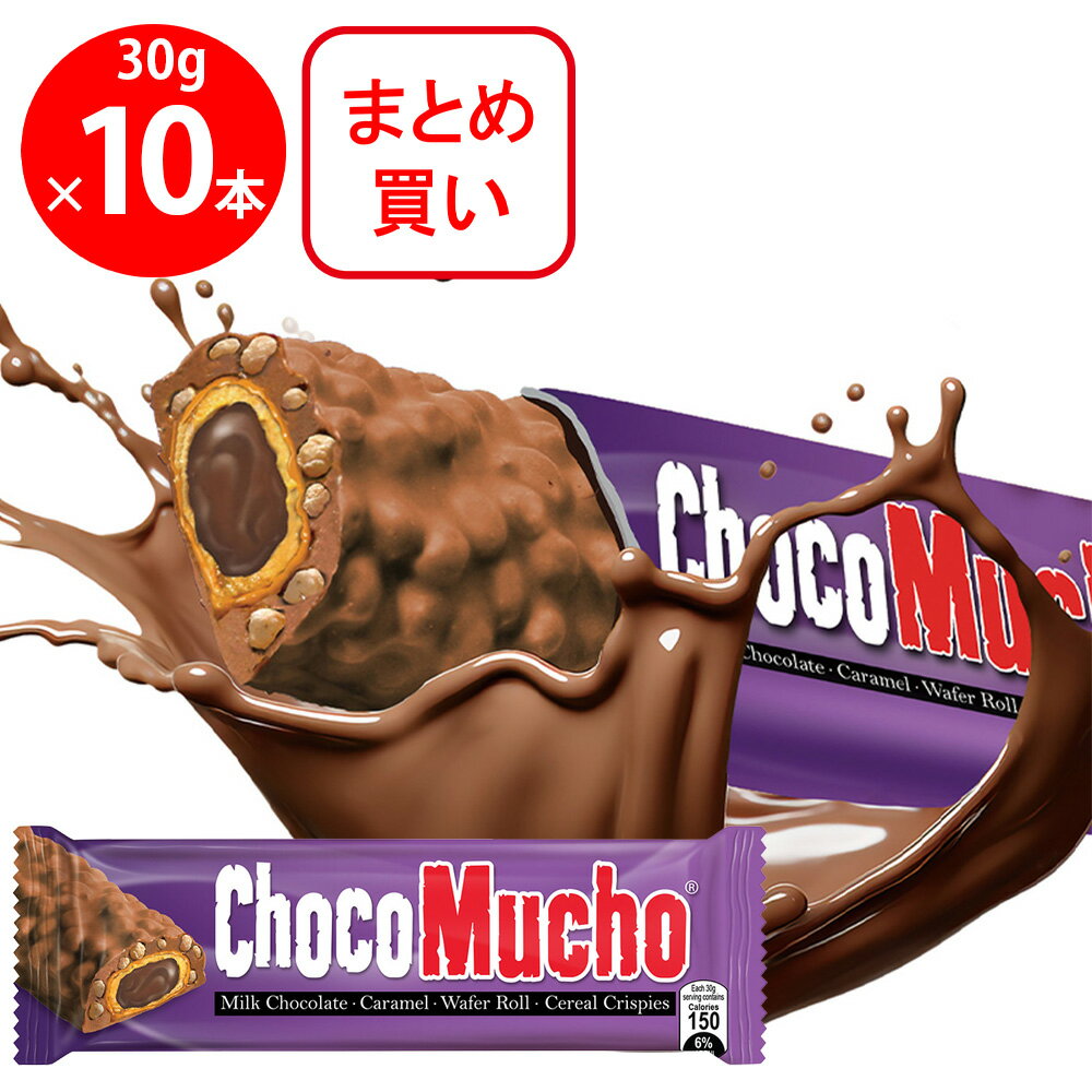 ノルレェイク・インターナショナル Rebisco チョコムーチョミルク ×10本