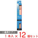 オーラルサインS-02スリッピコンパクト×12個