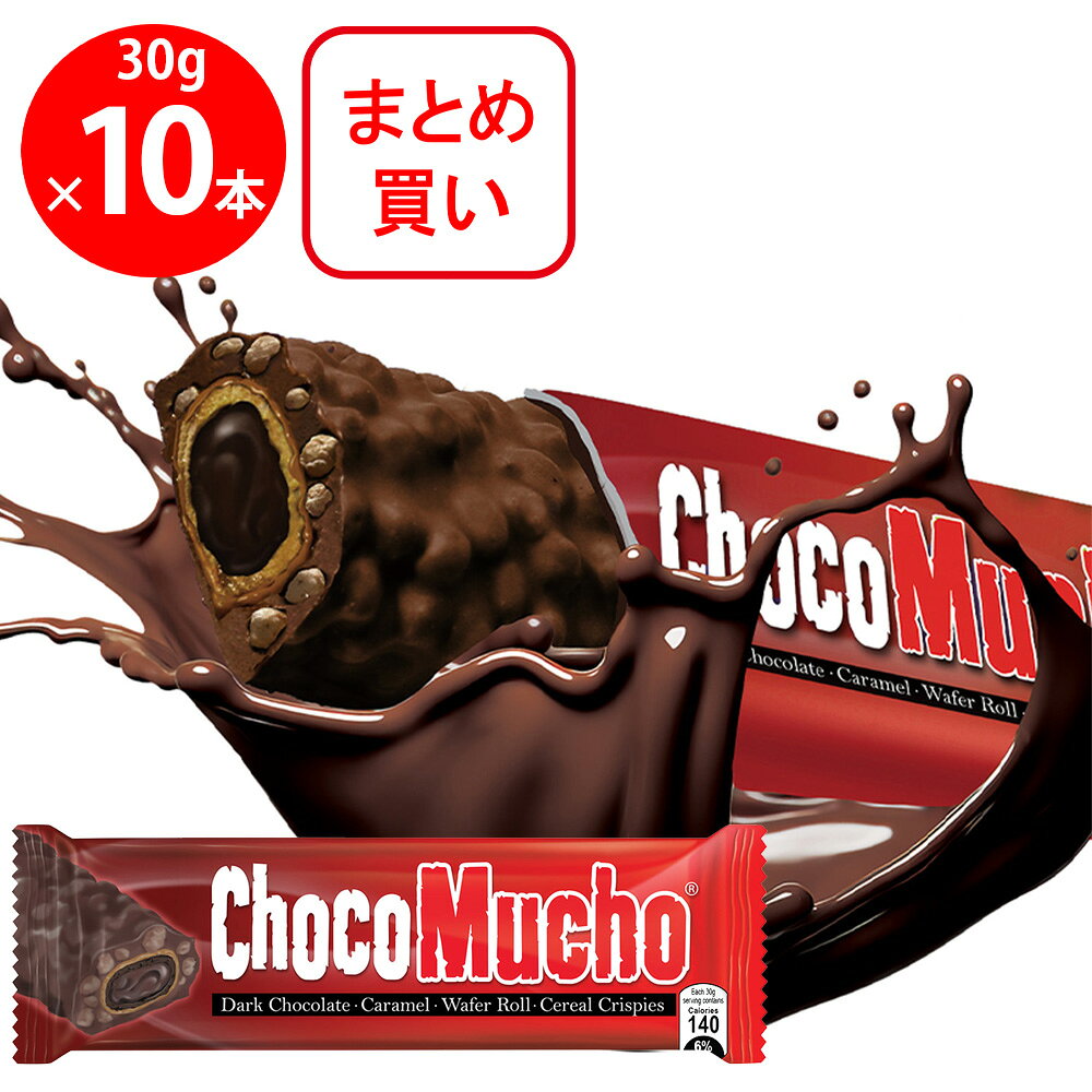 ノルレェイク・インターナショナル Rebisco チョコムーチョダーク ×10本