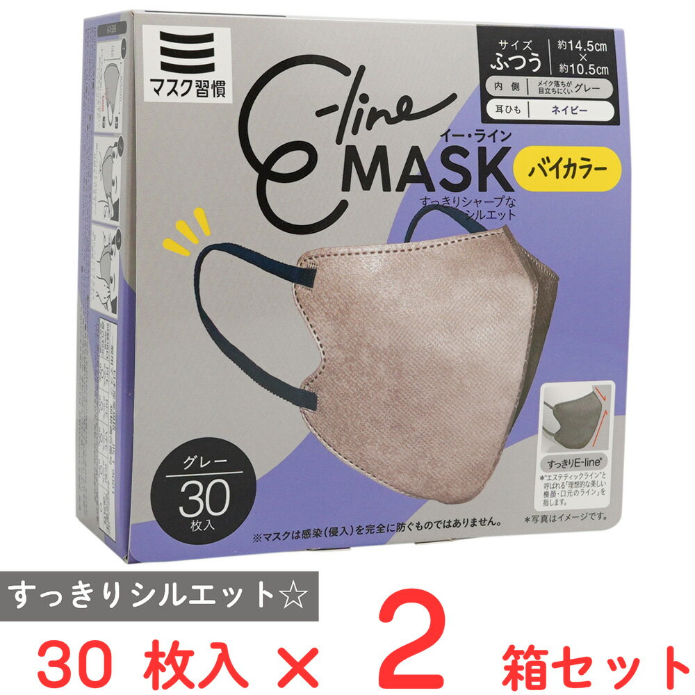 マスク習慣 E-lineマスクふつう グレー×ネイビー 30枚×2箱