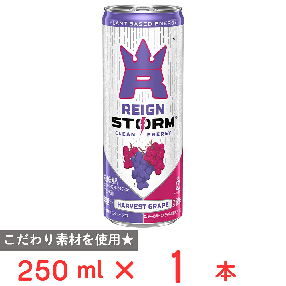 アサヒ飲料 レインストーム ハーベストグレープ 250ml