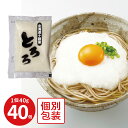  マルコーフーズ とろろ 1.6Kg （40g×20袋×2個） 冷凍とろろ 山芋 冷凍野菜 野菜 冷凍 食品 冷食 簡単 お手軽 すりおろし 小分け 小袋入り 長芋 とろろそば とろろご飯 使い切り 国産 国産とろろ 長いも ながいも 業務用