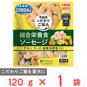 冷凍食品 いなばペットフード 総合栄養食ソーセージ チキン チーズ 緑黄色野菜入り 120g×6個 冷凍 ドックフード こだわり 乳酸菌 国産 シニア 成犬 おすすめ 犬用品 小型犬 大型犬 愛犬