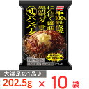 [冷凍] 味の素 ザ★ハンバーグ 202.5g×10袋