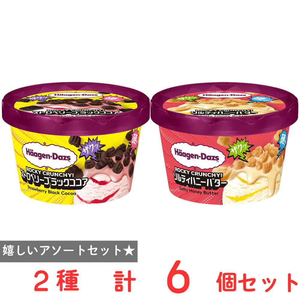 [アイス] ハーゲンダッツ ザクザク食感！ ASMR ROCKY CRUNCHY! 2種×3個（ストロベリーブラックココア・ソルティハニーバター）