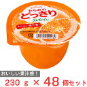 たらみ たらみのどっさり みかん 230g×48個