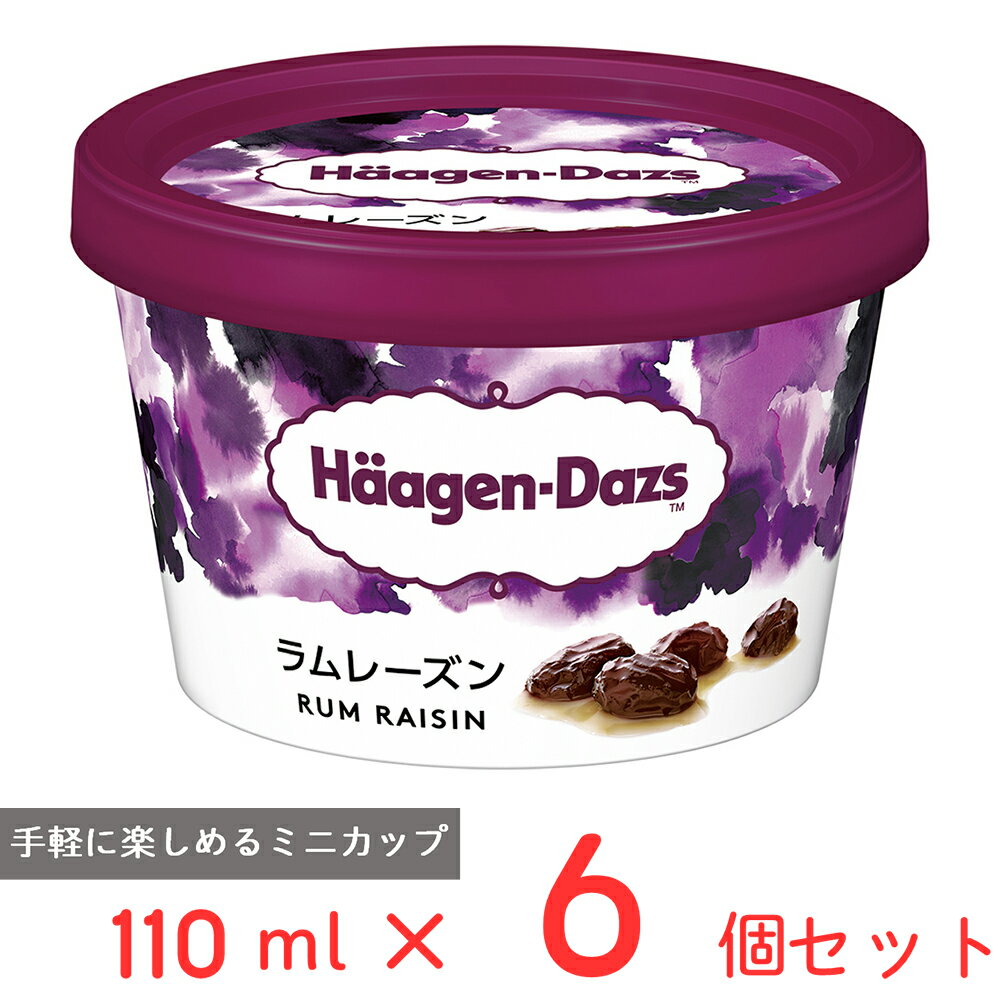 [アイス] ハーゲンダッツ ミニカップ ラムレーズン 110ml×6個