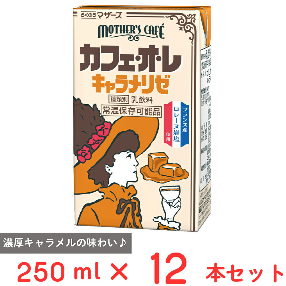 らくのうマザーズ カフェ・オ・レキャラメリゼ 250ml×12本 常温 保存 乳飲料 生乳 紙パック 飲料 無菌充填 熊本県 カフェオレ カフェラテ 珈琲牛乳 コーヒー牛乳