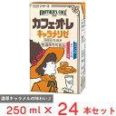 らくのうマザーズ カフェ・オ・レキャラメリゼ 250ml×24本(4)