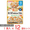 和光堂 具たっぷりグーグーキッチン 鶏ごぼうの炊き込みごはん 80g×12個