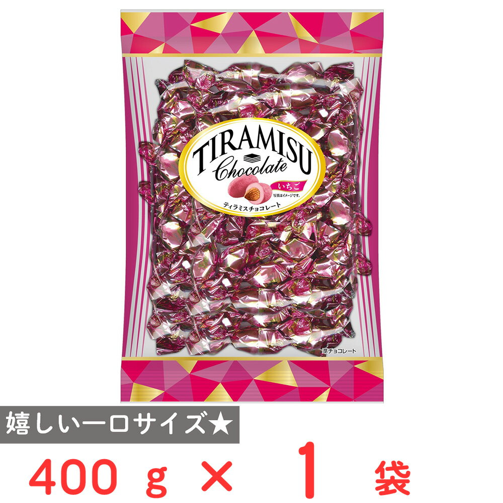 ユウカ ティラミスチョコレート(いちご) 400g