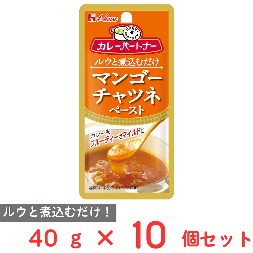 ハウス食品 カレーパートナーマンゴーチャツネペースト 40g×10個