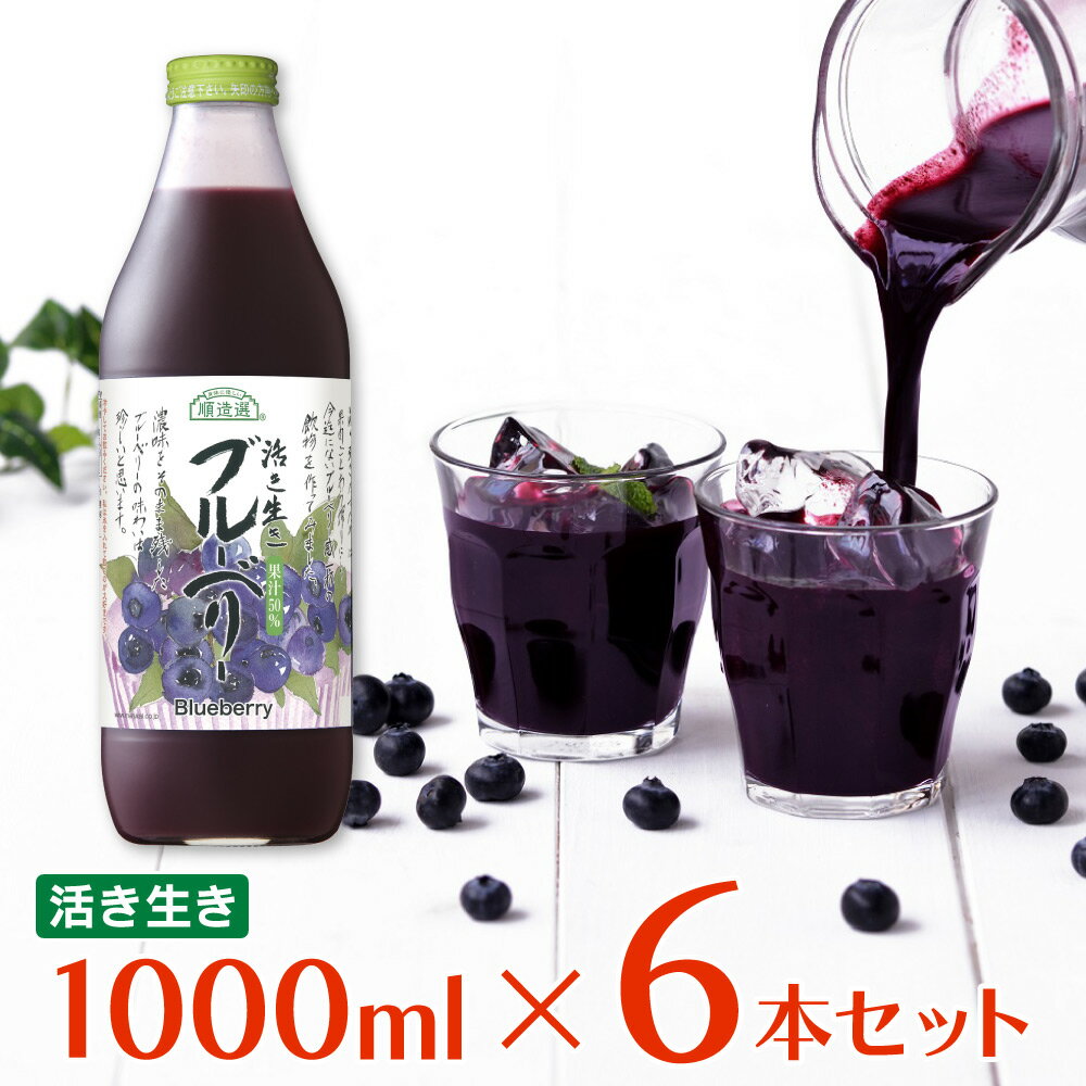 マルカイコーポレーション 順造選 ブルーベリー 1000ml 6本 | こだわり コダワリ ジュース じゅーす 果汁 かじゅう カジュウ 果肉 かにく カニク フルーツ ふるーつ 濃厚 のうこう ノウコウ 割…