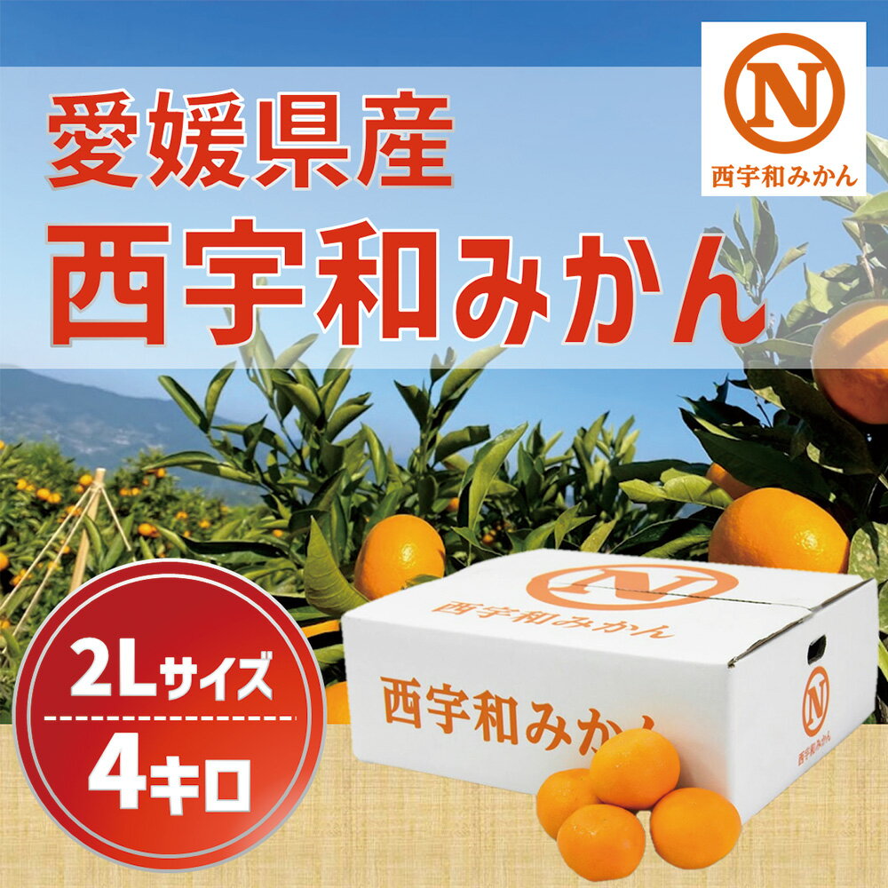 愛媛県産みかん お徳用 4kg お歳暮