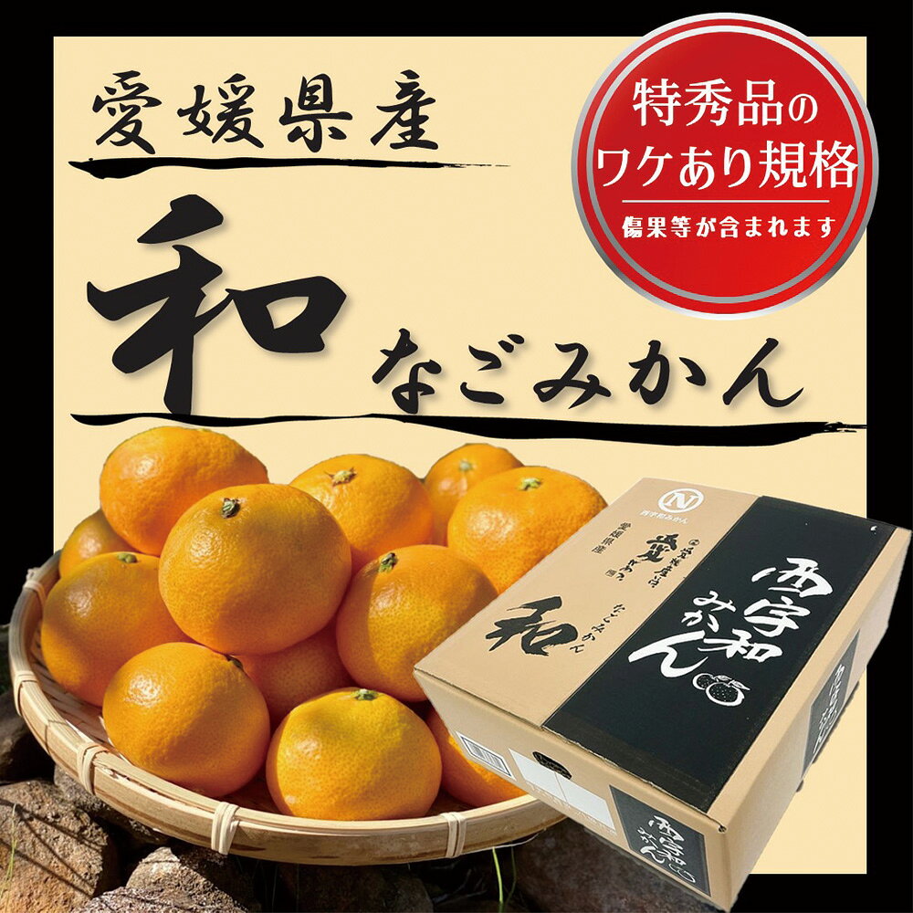 愛媛県産みかん (和み・糖度12度UP) 5kg お歳暮