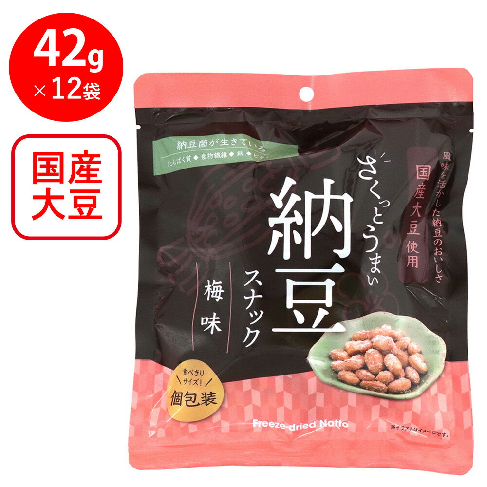 ヤマダフーズ さくっとうまい納豆スナック(梅味) 42g×12袋
