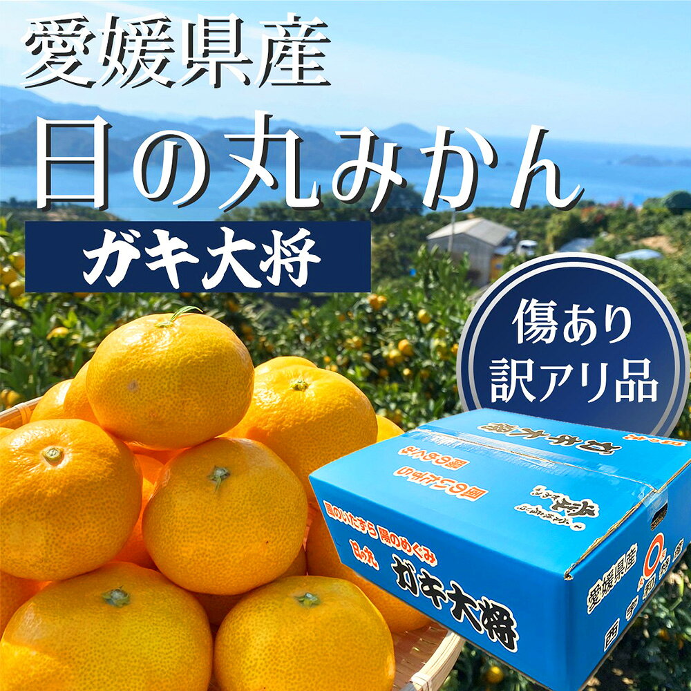 日の丸みかん　ガキ大将 5kg お歳暮