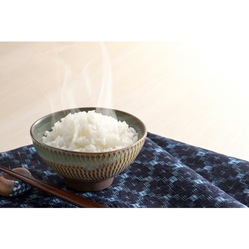 アイリスフーズ 新潟県産こしひかり 低温製法米 2 白米 米 白ごはん ライス ご飯 ごはん 米飯 お弁当 時短 手軽 簡単 美味しい