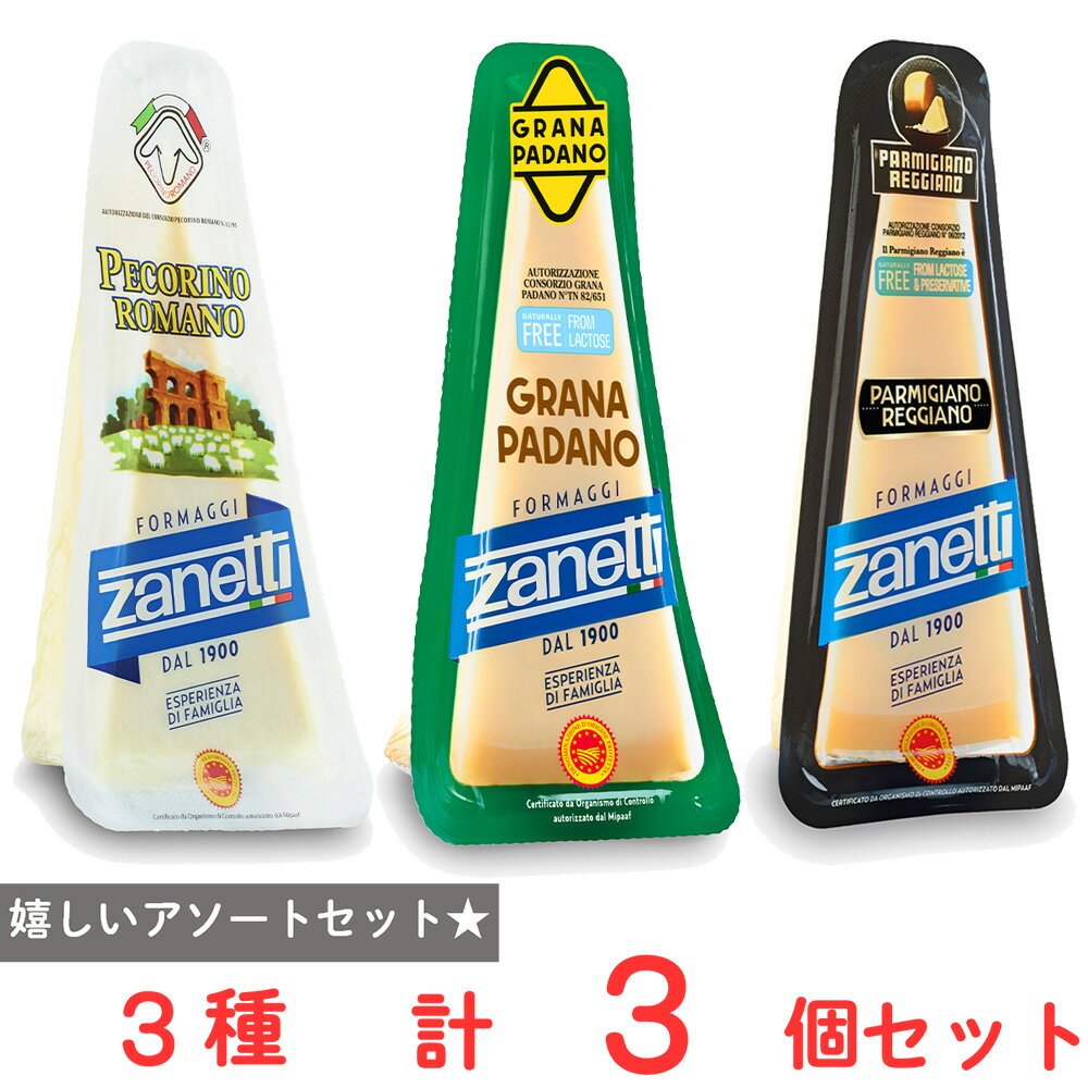 [冷蔵] ムラカワ ザネッティ パルミジャーノ レッジャーノポーション 150g 1個 ペコリーノロマーノ 150g 1個 グラナパダーノ 150g 1個