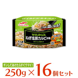 冷凍食品 マルハニチロ WILDish ワイルディッシュ ねぎ塩豚カルビ炒飯 250g×16袋 | チャーハン 焼飯 ごはん ご飯 御飯 カルビチャーハン カルビ焼飯 冷凍 冷凍保存 お 大容量 仕送り ひとり暮らし 一人暮らし スマイルスプーン 冷凍惣菜 惣菜 中華