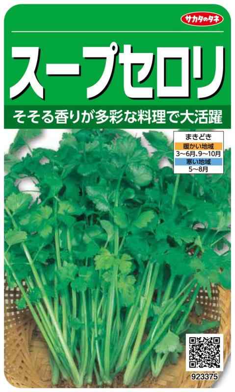 サカタのタネ 実咲野菜3375 スープセロリ 00923375