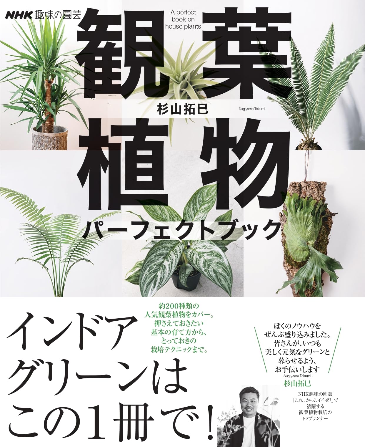 乐天商城 - 観葉植物 育て方 図鑑 栽培 管理方法 種類別 特徴 選び方 栽培カレンダー 室内 インテリア グリーン 趣味 実用書 ガイドブック
