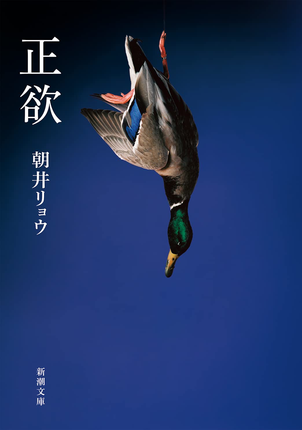 乐天商城 - 文庫本 正欲