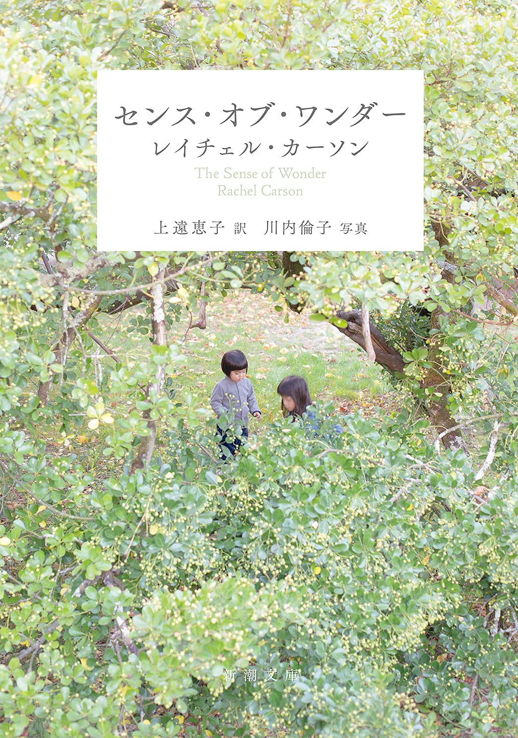 Rakuten - 文庫本 エッセイ 自然 観察 感性 教育 読書 読み物 自然愛 感受性 育成 考察 文学 書籍