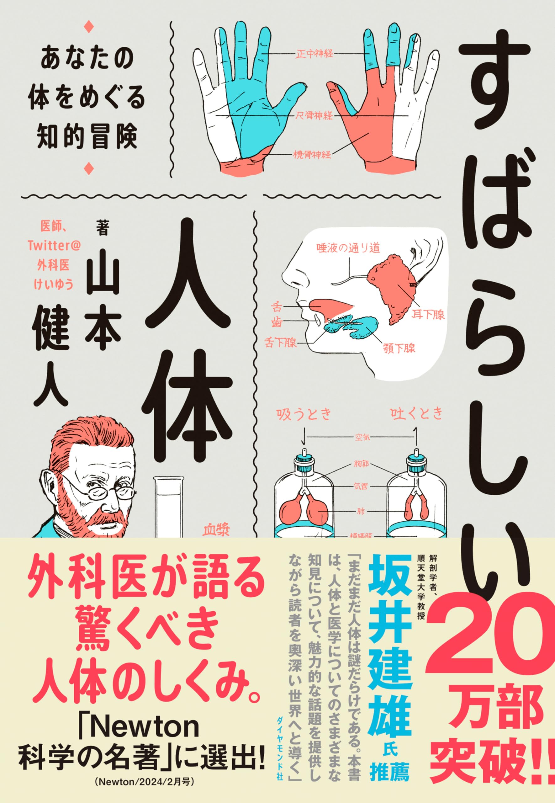 人体の仕組みと構造を解説した図解イラスト付き科学教養本 身体の知識を深める専門書