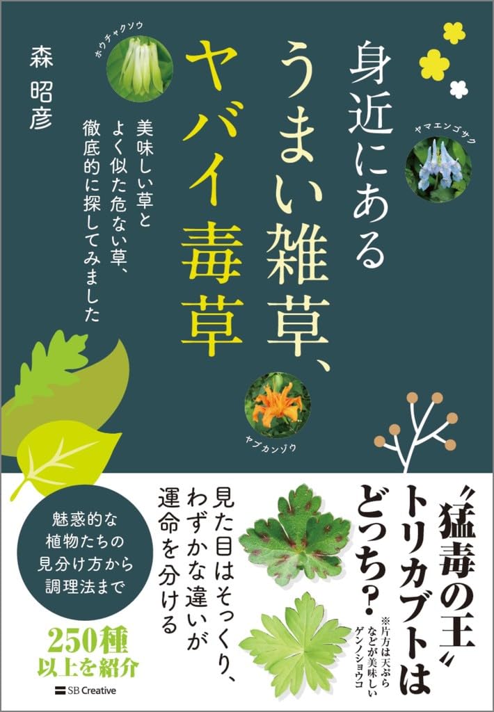Rakuten - 雑草 図鑑 見分け方 食べられる野草 毒草 危険な植物 判別ガイド 採取 観察 識別 知識 食べられる草 毒のある草 徹底解説