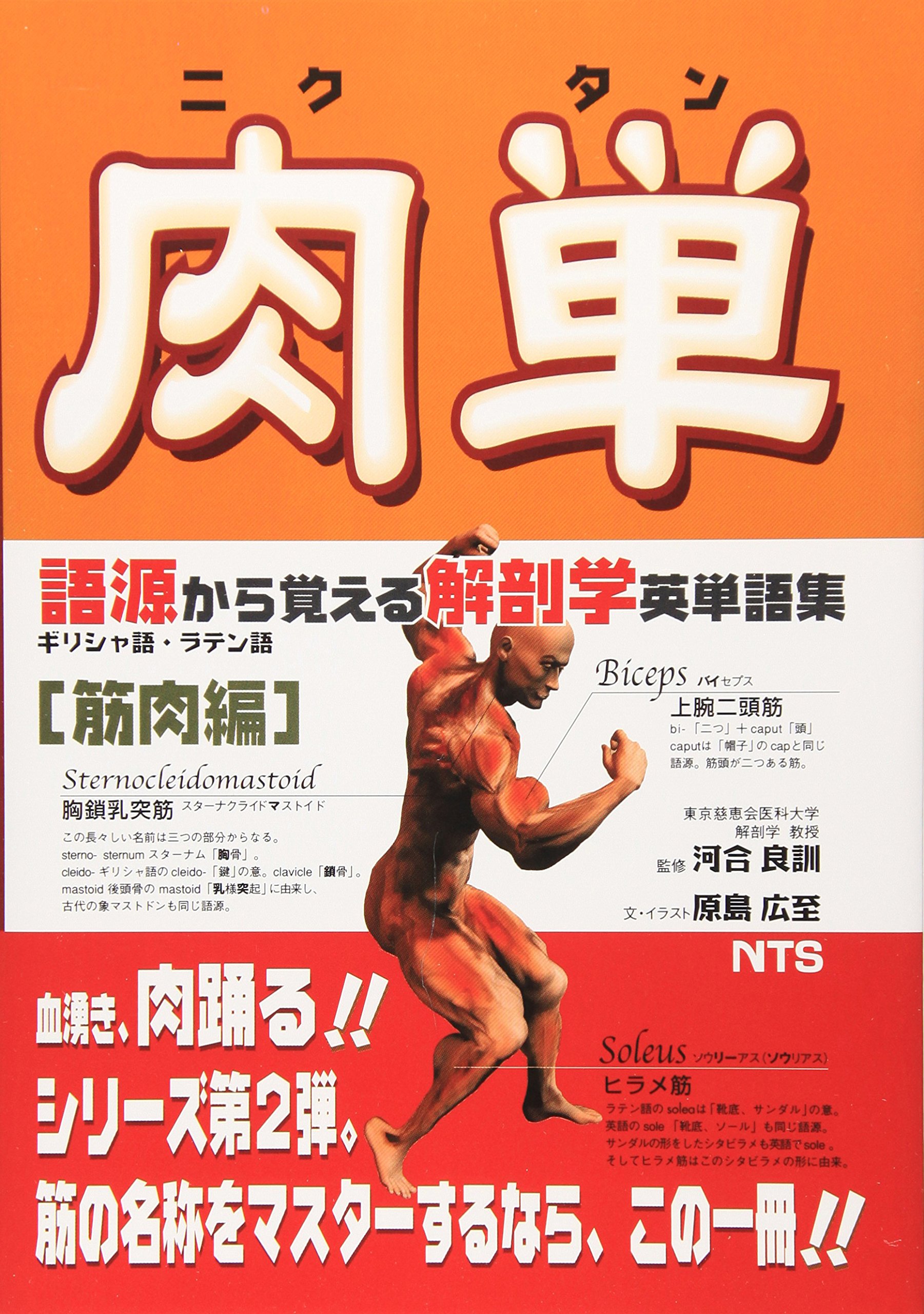 解剖学 英単語集 筋肉編 語源から覚える 学習参考書 専門書
