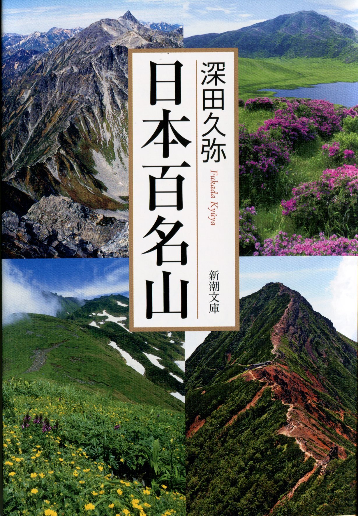 日本百名山 ガイドブック 文庫本 登山 趣味 実用書 地理 歴史 紀行文 日本の山々 解説書 登山愛好家向け書籍