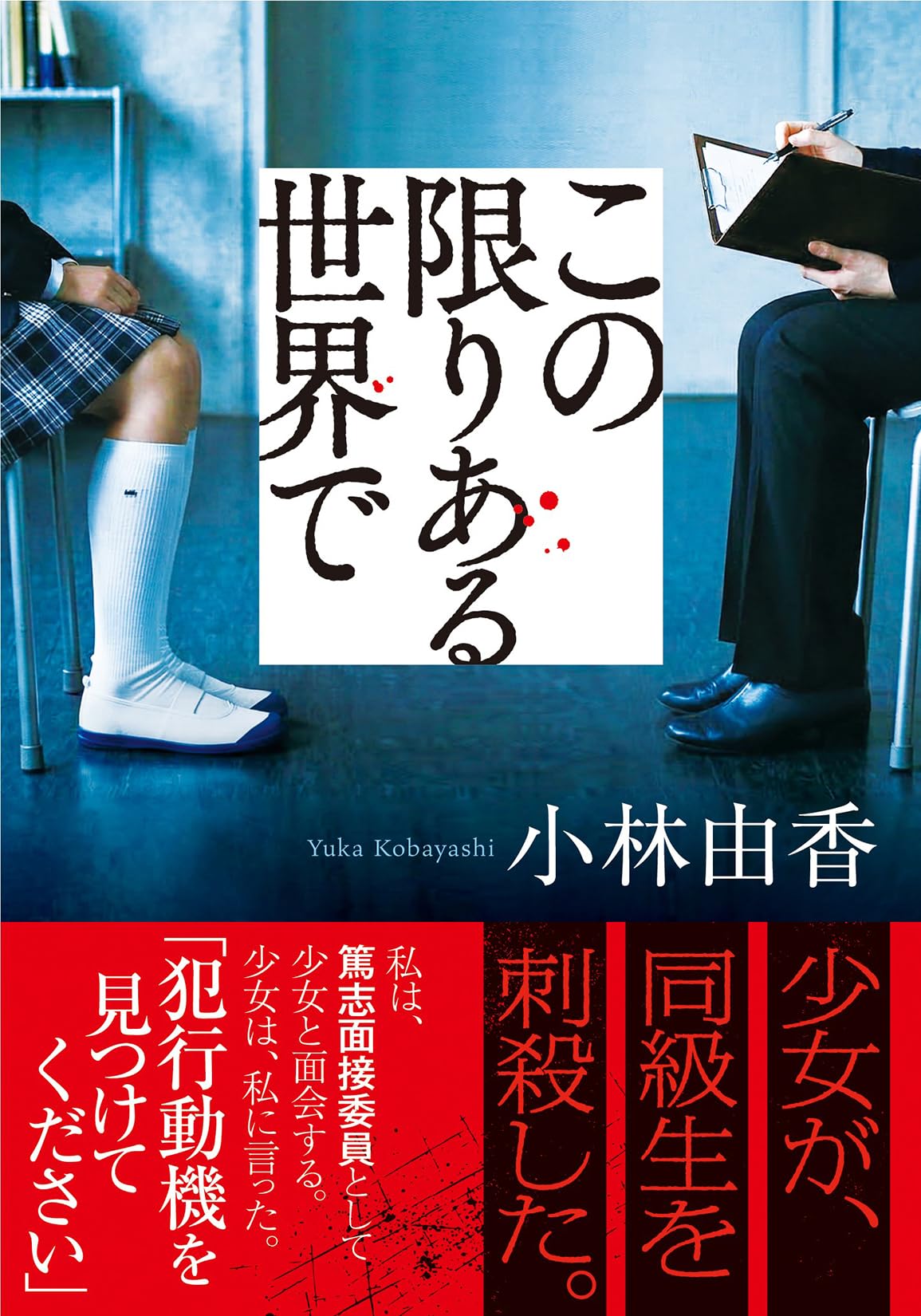 文庫本 この限りある世界で 小説 単行本サイズ ソフトカバー 文学 作品 読み物 読書 趣味 一般書籍