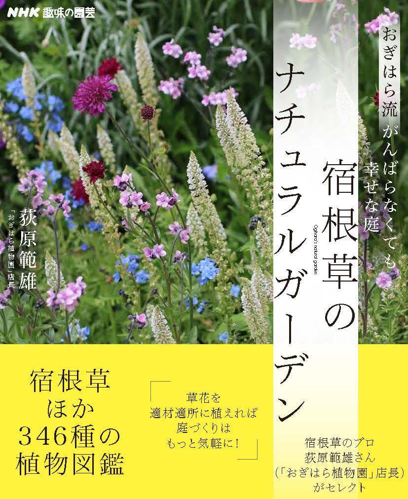 Rakuten - 園芸ガイドブック 趣味の園芸 育て方 植物 栽培 庭 ガーデニング 実用書 宿根草のナチュラルガーデン 庭づくり