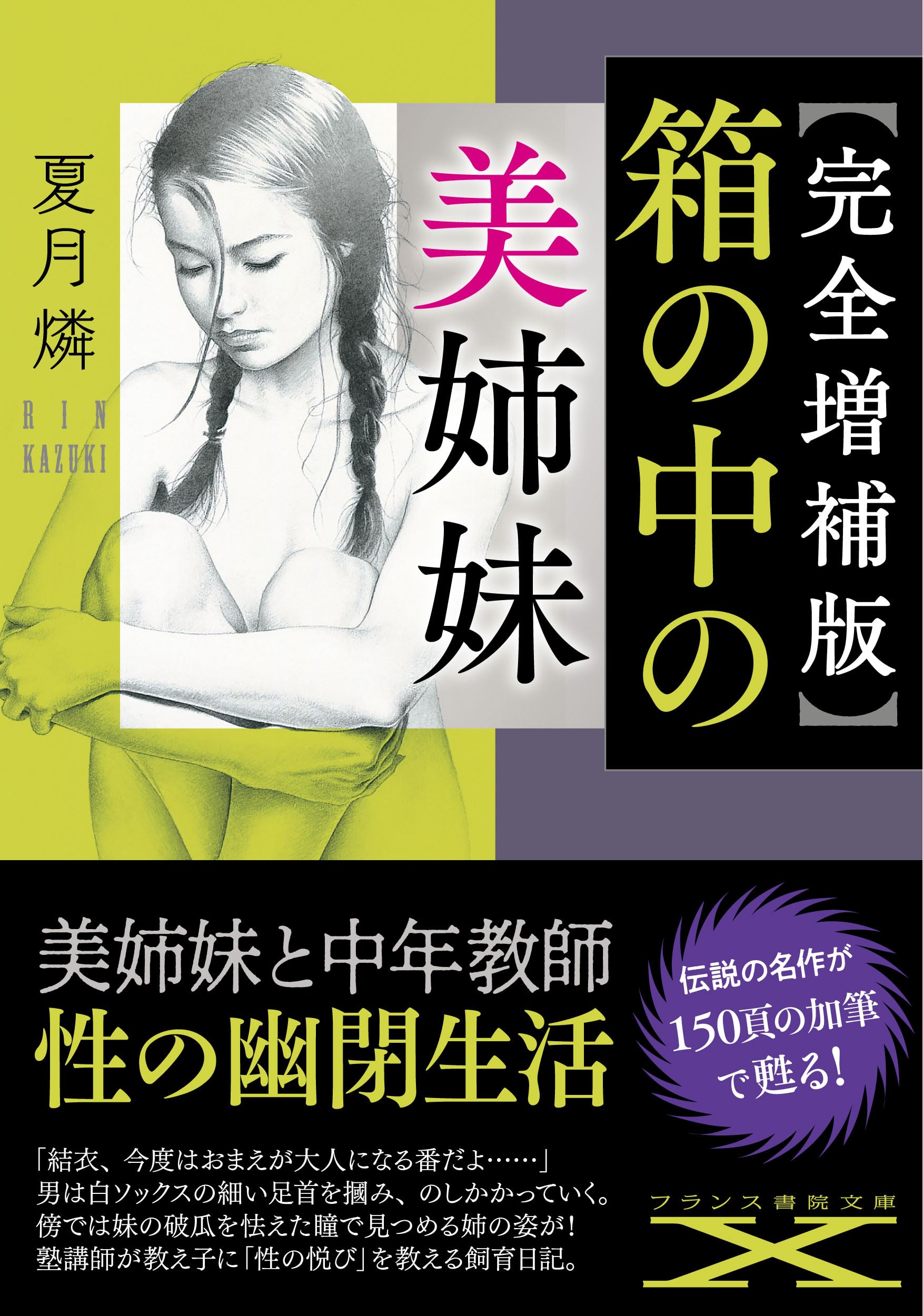 小説 文庫本 読み物 書籍 文学作品