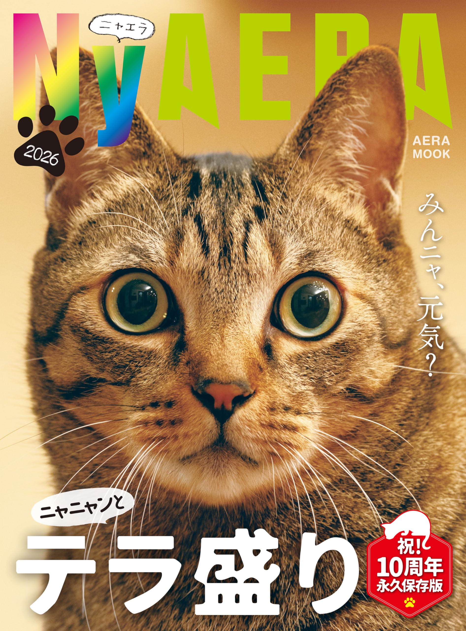 Education - ムック本 雑誌 2026年版 読み物 情報誌 書籍 関連書籍 テラ盛り 2026年 趣味 娯楽 ライフスタイル 読み物 雑誌類