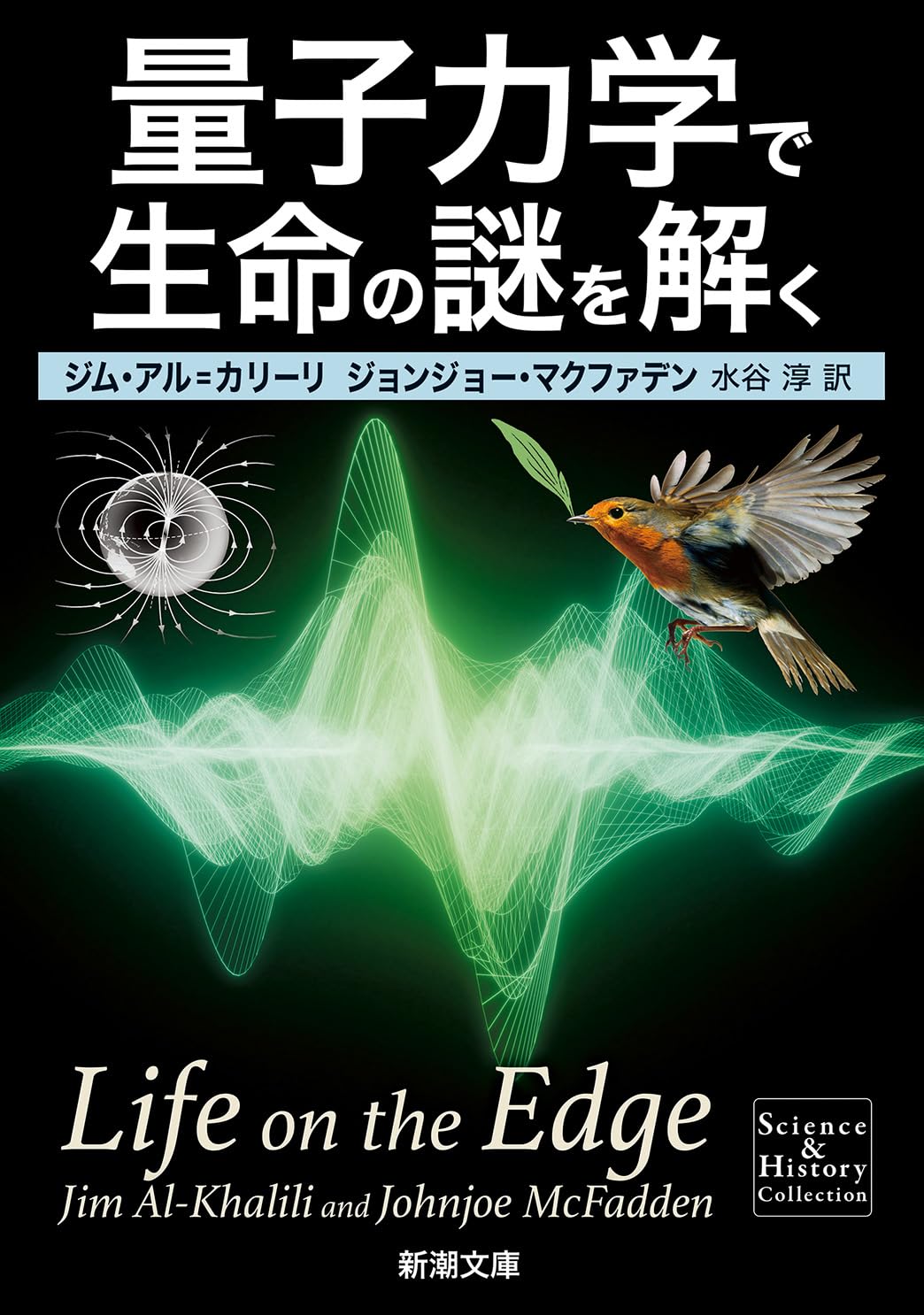 Rakuten - 量子力学 文庫本 科学 解説書 自然科学 物理学 書籍 本