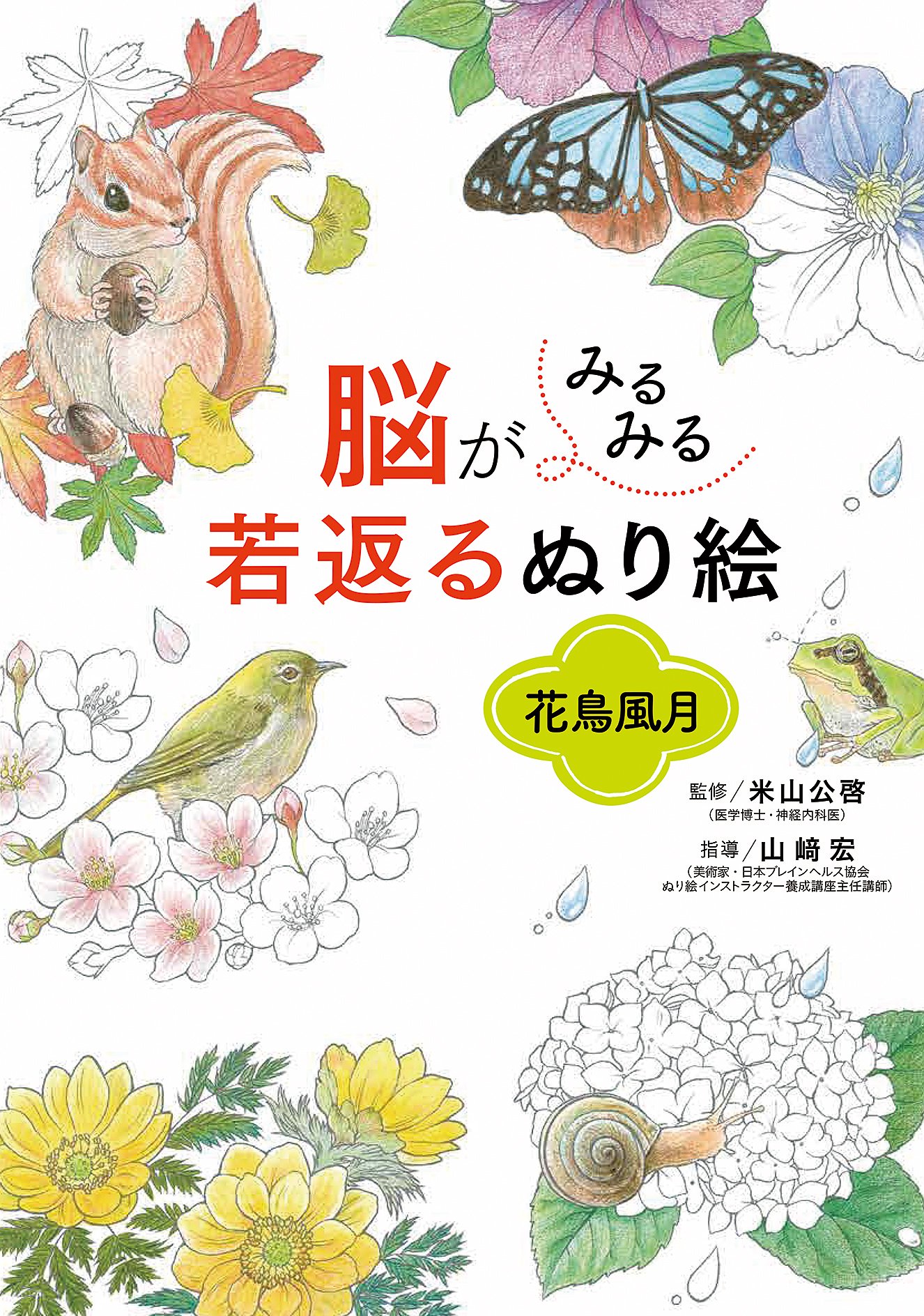 塗り絵 花鳥風月 脳トレ 大人の塗り絵 趣味 教材 アート ヒーリング 癒し 集中力 ...