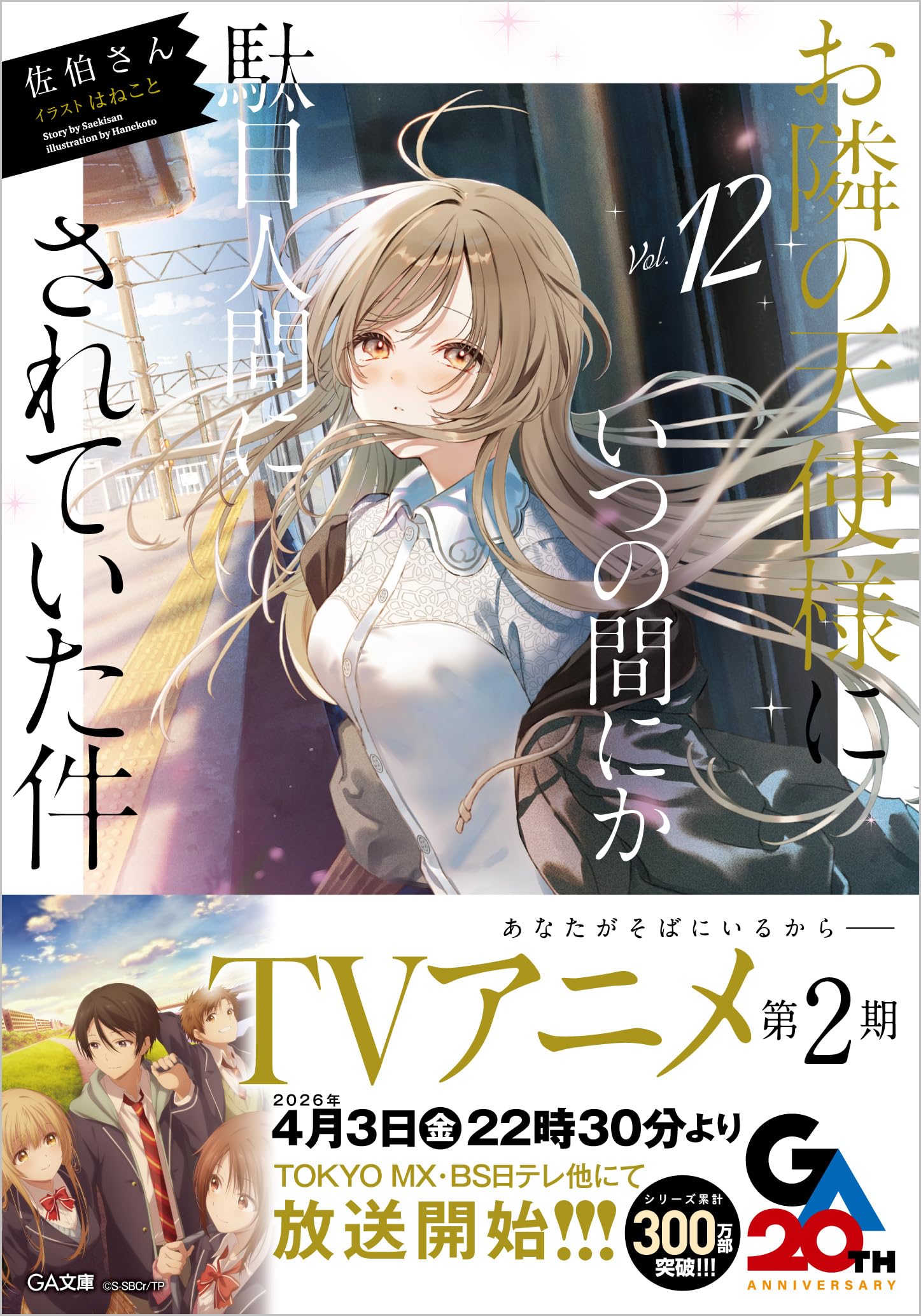 ライトノベル 文庫本 12巻 読み物 書籍