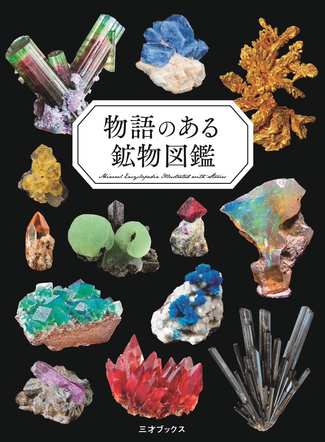 鉱物図鑑 書籍 図説 自然科学 鉱石 宝石 結晶 標本 鉱物学 鉱物解説 鉱物写真集 鉱物標本図鑑 鉱物百科