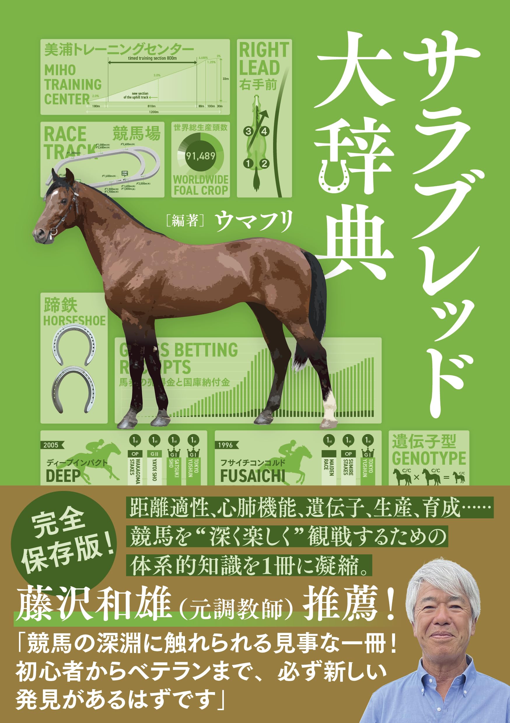 大辞典