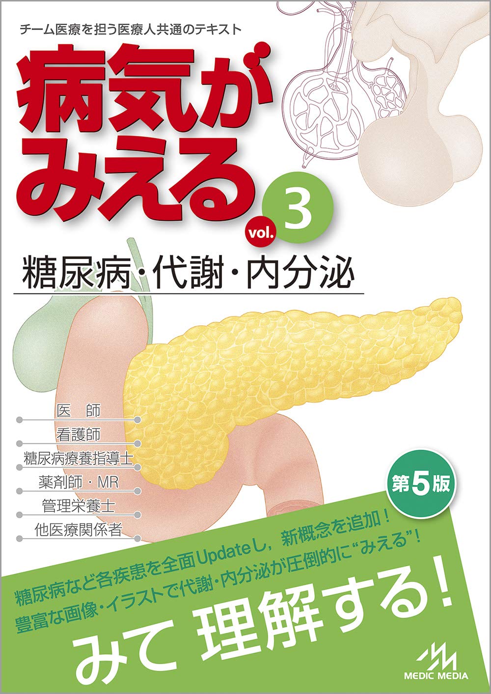 糖尿病 代謝 内分泌 疾患別解説書 専門書 学習参考書 臨床医学 書籍 参考書 専門知識 疾患解説 基礎知識 体系的学習 医療テキスト 疾患別マニュアル